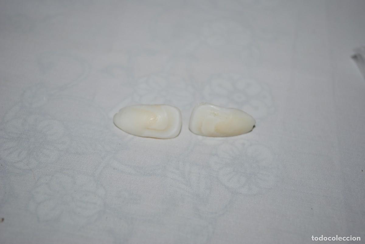 Vintage: HUESOS DE CORVINA PARA ENGARZAR - Foto 3