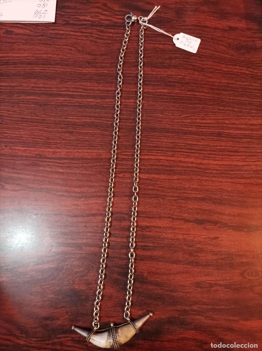 Vintage: Collar con colmillos de Tigre - Foto 1