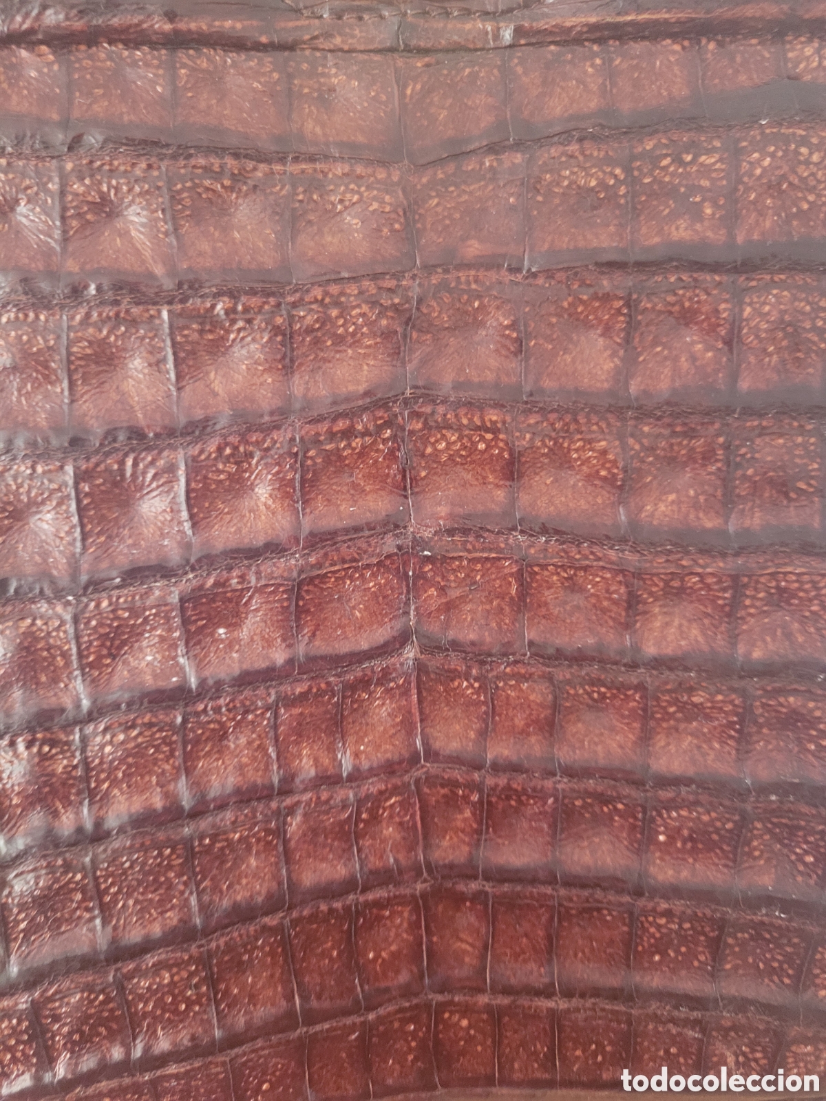 Vintage: Bolso vintage de cocodrilo real - Foto 2