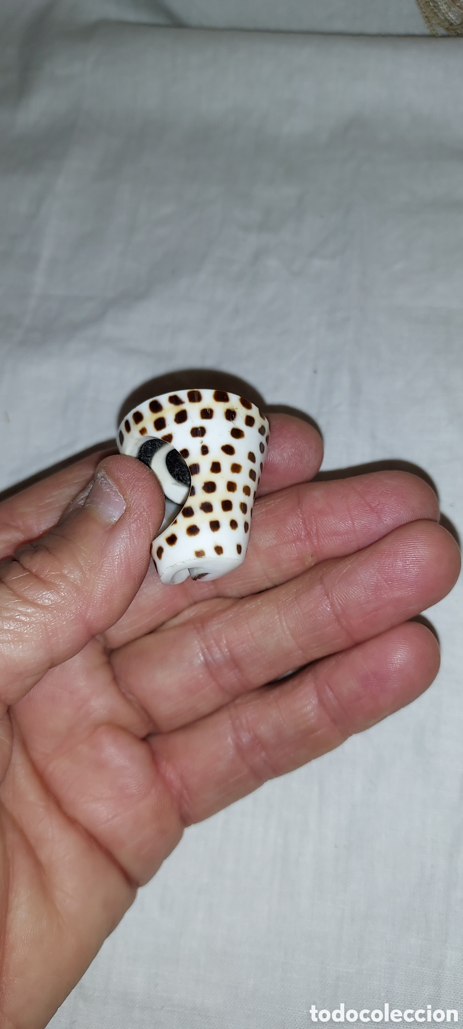 Vintage: ANILLO DE PIEDRA CON OJO DE SHIVA - Foto 5