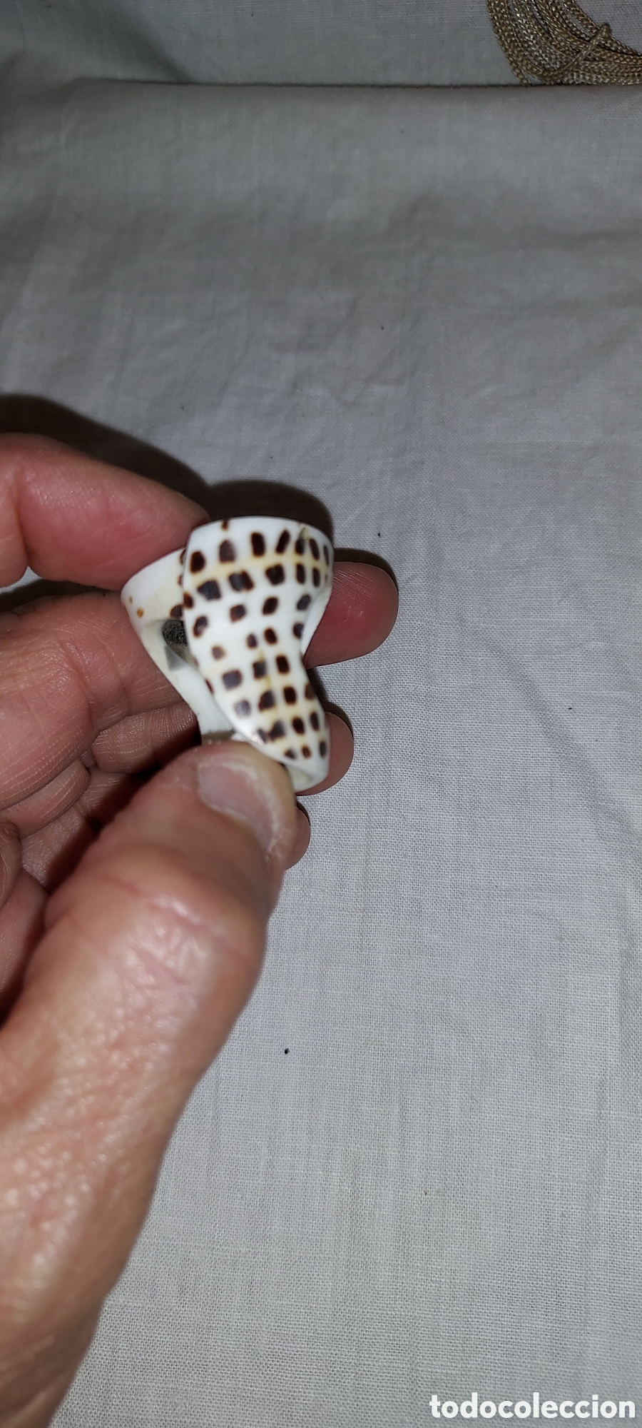 Vintage: ANILLO DE PIEDRA CON OJO DE SHIVA - Foto 8