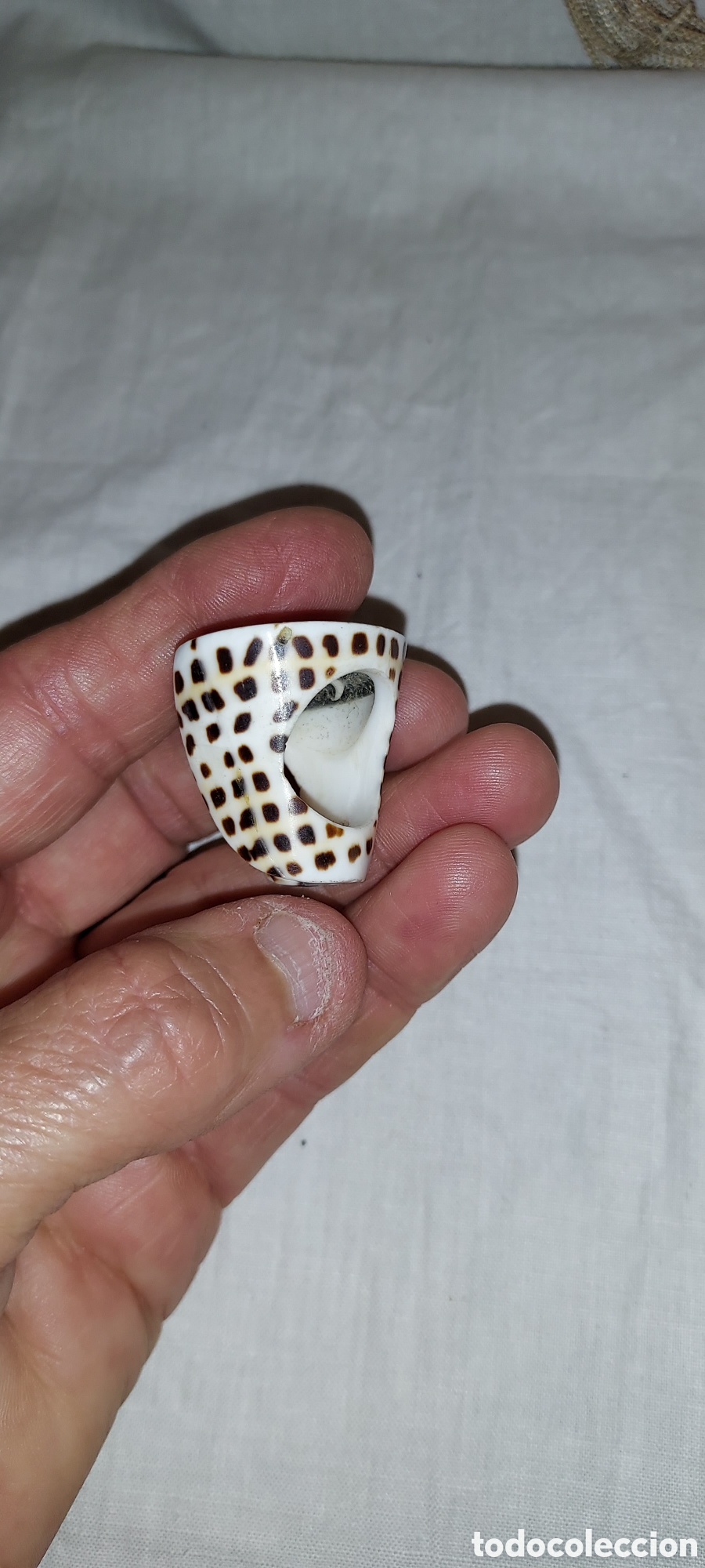 Vintage: ANILLO DE PIEDRA CON OJO DE SHIVA - Foto 9