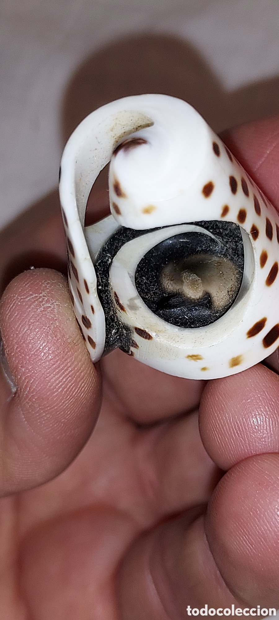 Vintage: ANILLO DE PIEDRA CON OJO DE SHIVA - Foto 10