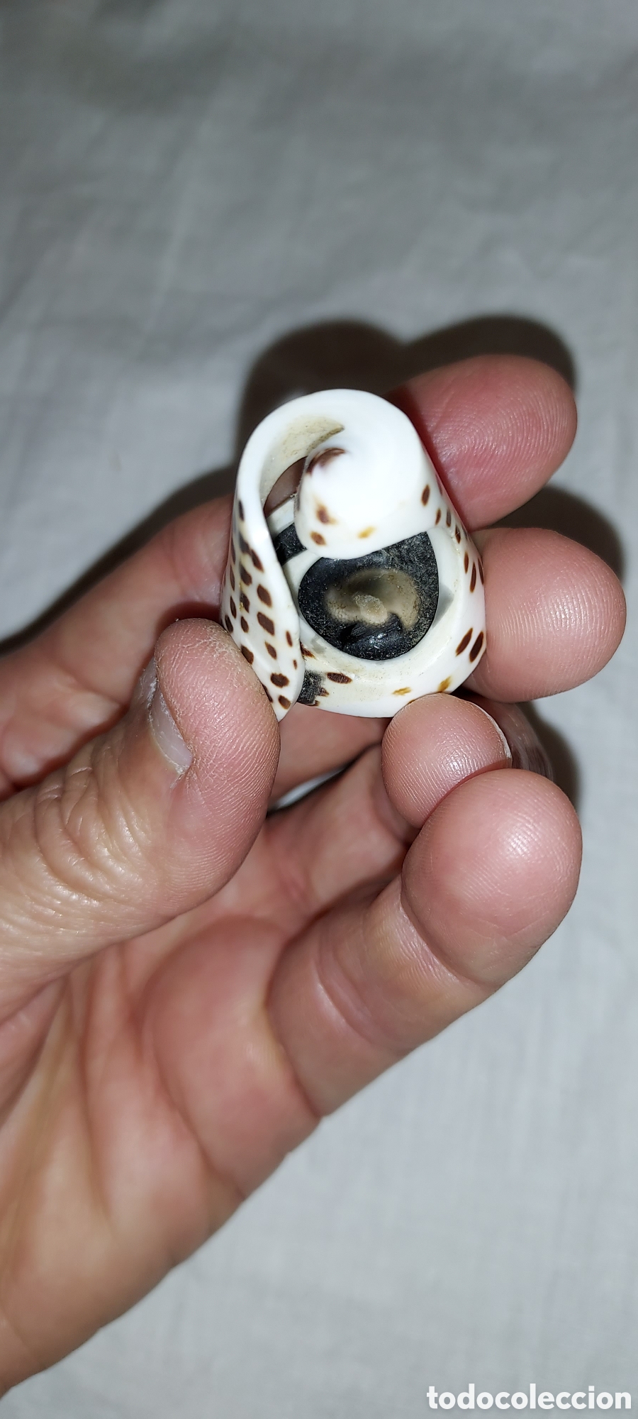Vintage: ANILLO DE PIEDRA CON OJO DE SHIVA - Foto 11
