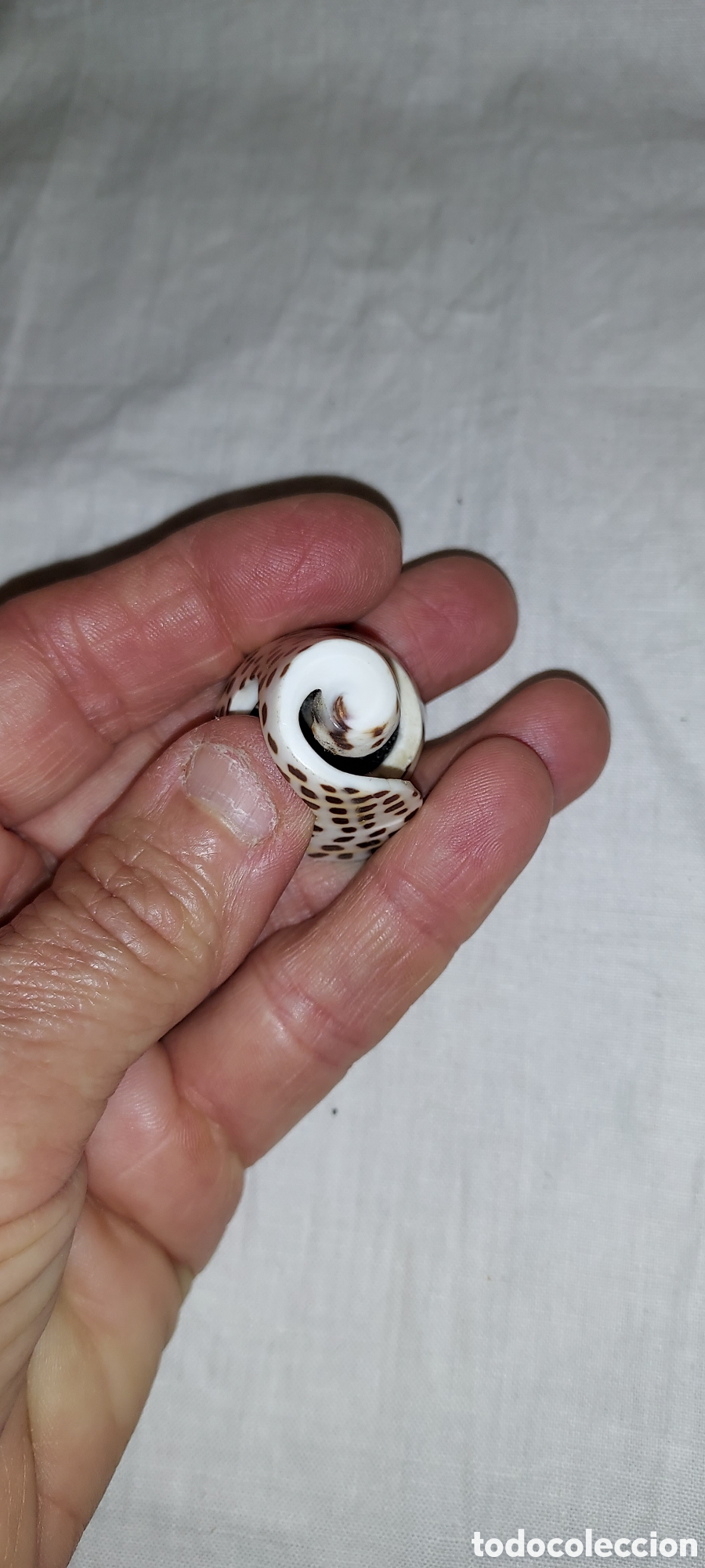 Vintage: ANILLO DE PIEDRA CON OJO DE SHIVA - Foto 12
