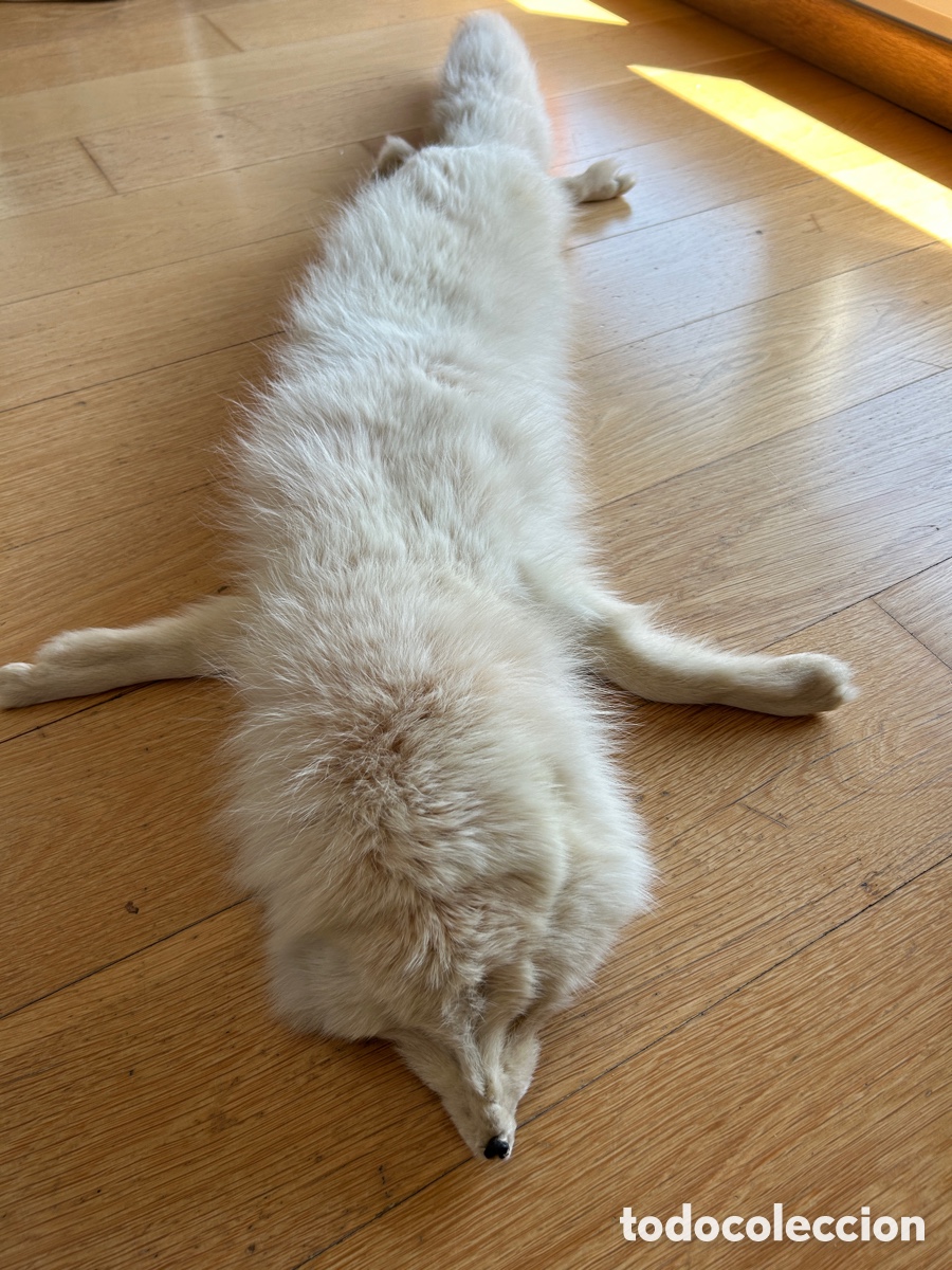 Vintage: Estola de piel zorro