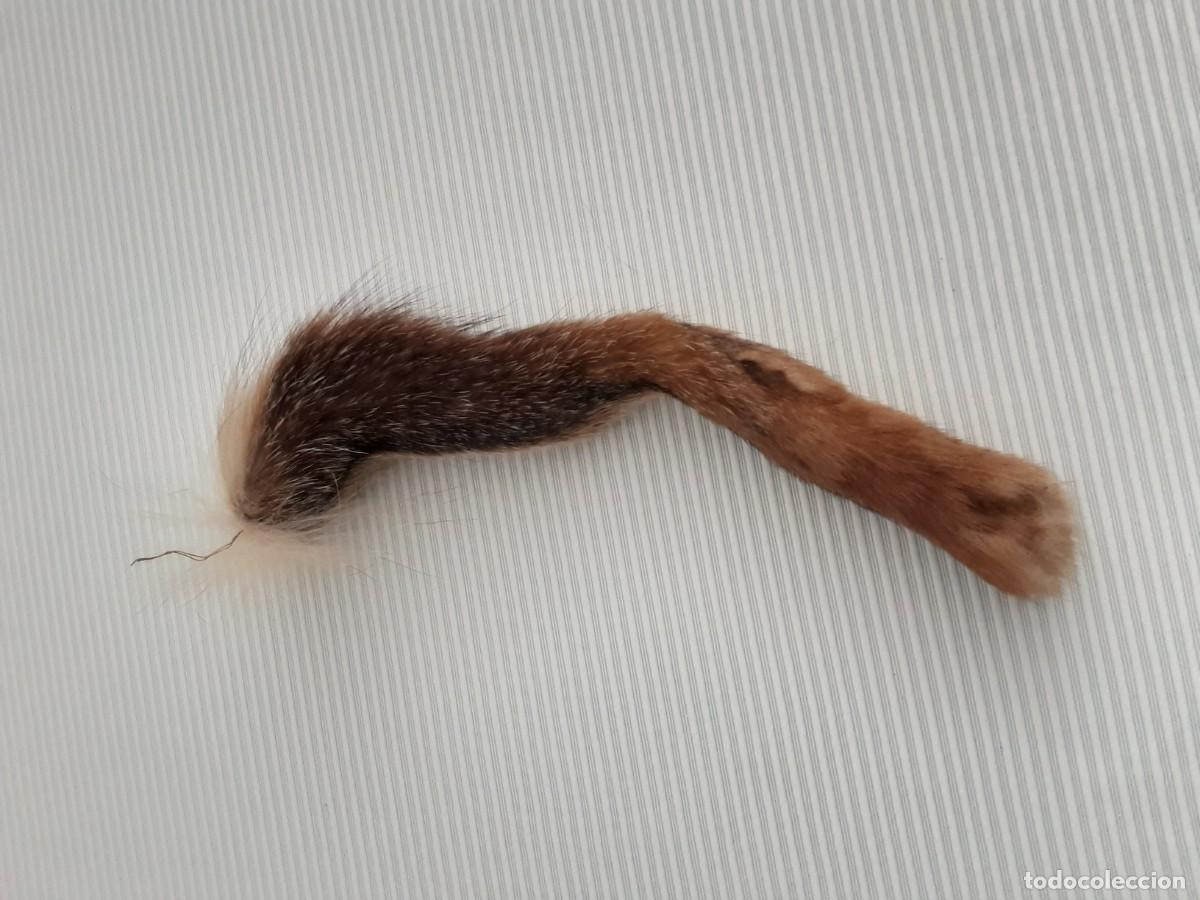 Vintage: PIel curtida de patas de Zorro - Foto 4