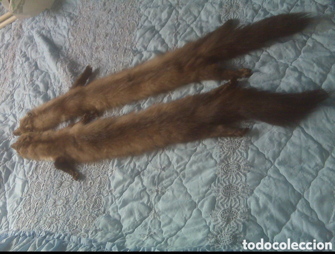 Vintage: Cuello elegante bodas etc - Foto 2