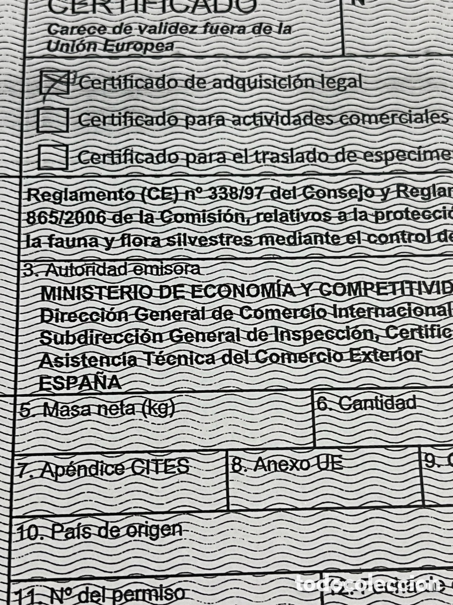 Vintage: Abrigo lomos de leopardo aut&eacute;ntico (CITES) - Foto 15