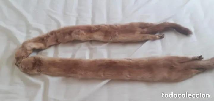 Vintage: CUELLO DE 2 VISONES HEMBRAS - Foto 1