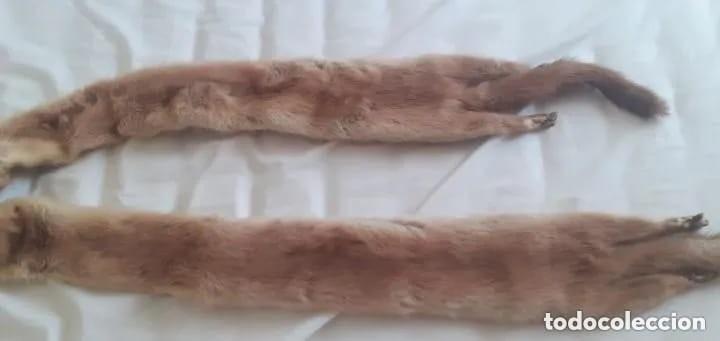 Vintage: CUELLO DE 2 VISONES HEMBRAS - Foto 5