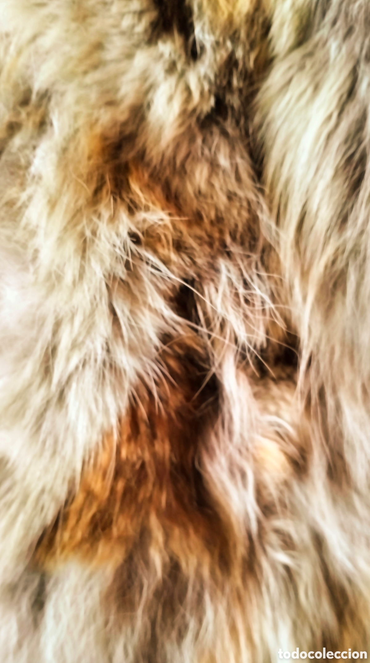 Vintage: Abrigo chaquet&oacute;n de pelo natural. - Foto 7