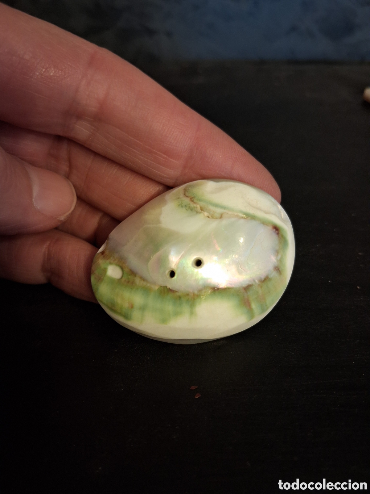 Vintage: GRAN BOTON NACAR O MADREPERLA 4,5 CMS - Foto 1
