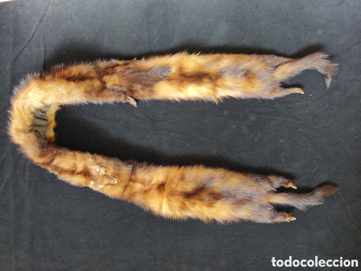 Vintage: Estola de piel genuina - Foto 1