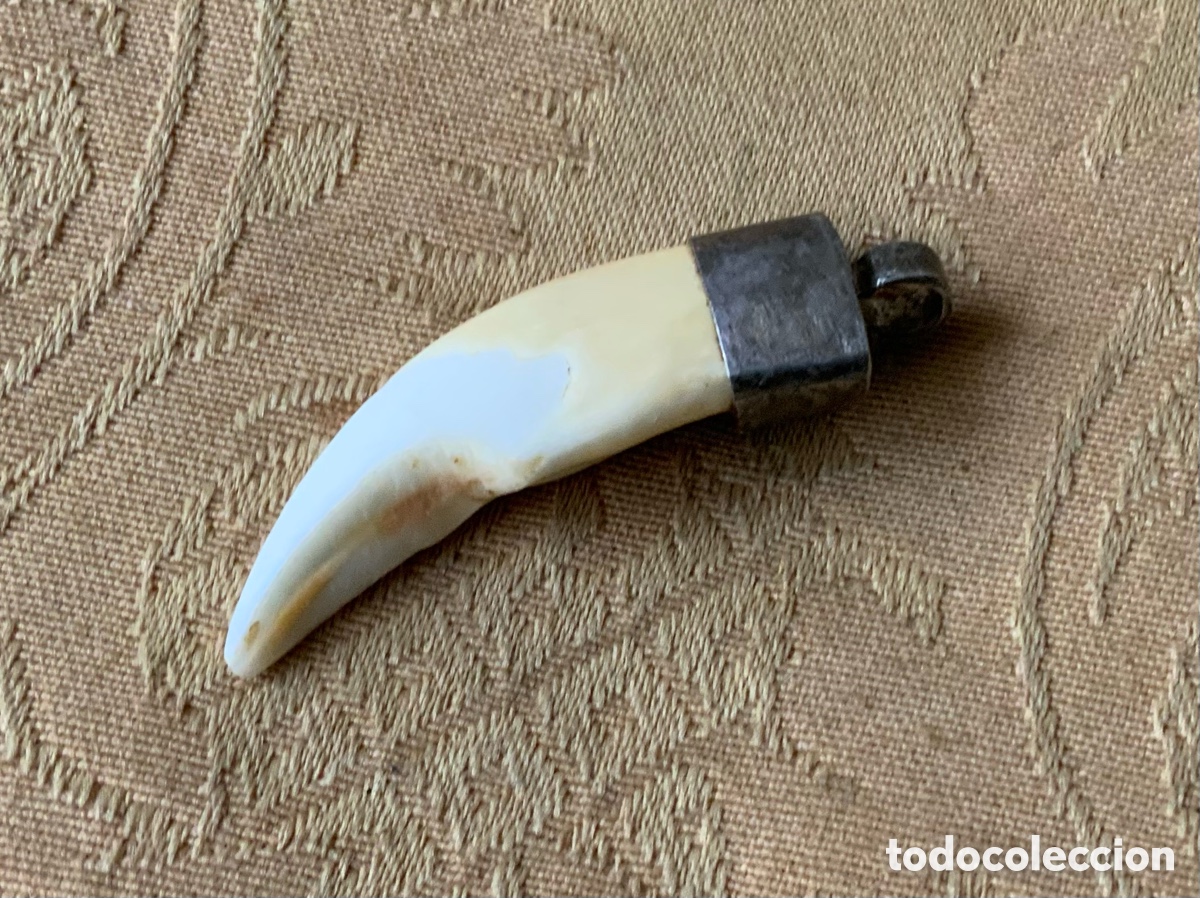 Vintage: COLGANTE COLMILLO ENGARZADO EN PLATA - Foto 3