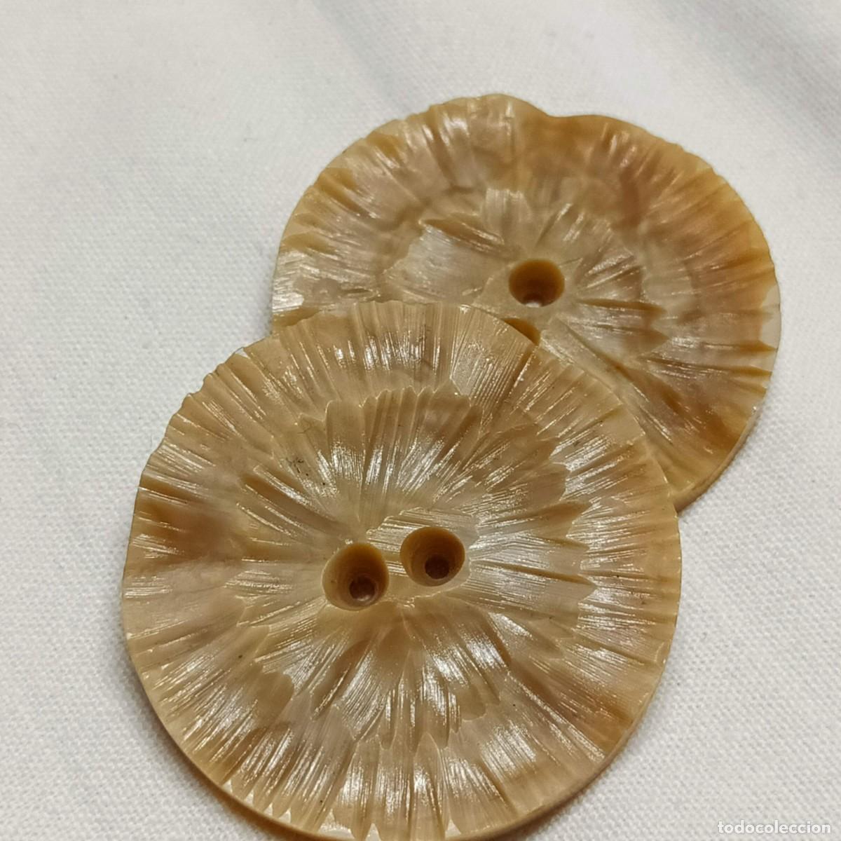 Vintage: 2 botones beiges, galalita, dos agujeros, 4,0 cm.