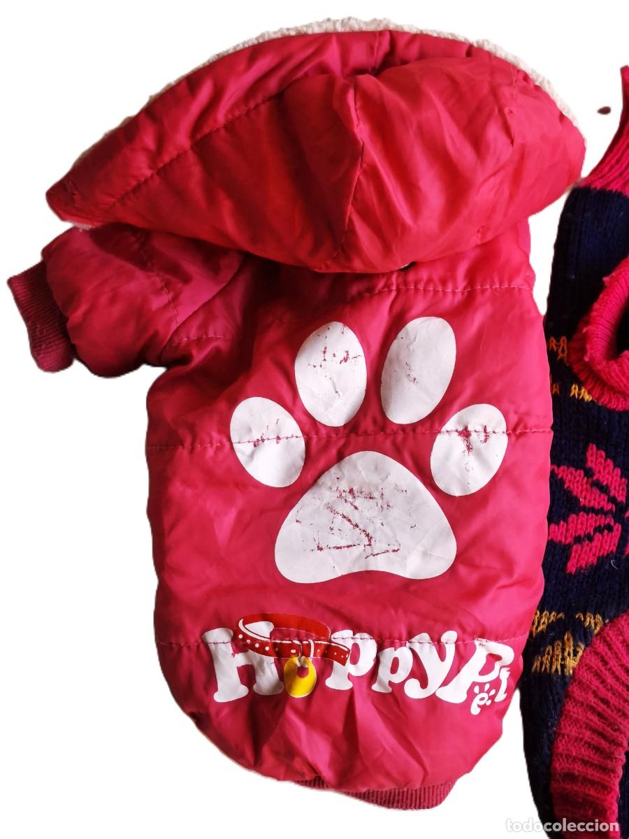 Vintage: ROPA PARA PERROS PEQUE&Ntilde;OS - Foto 3