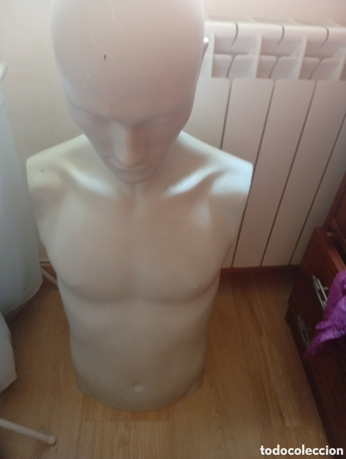 Vintage: Maniqu&iacute; torso hombre
