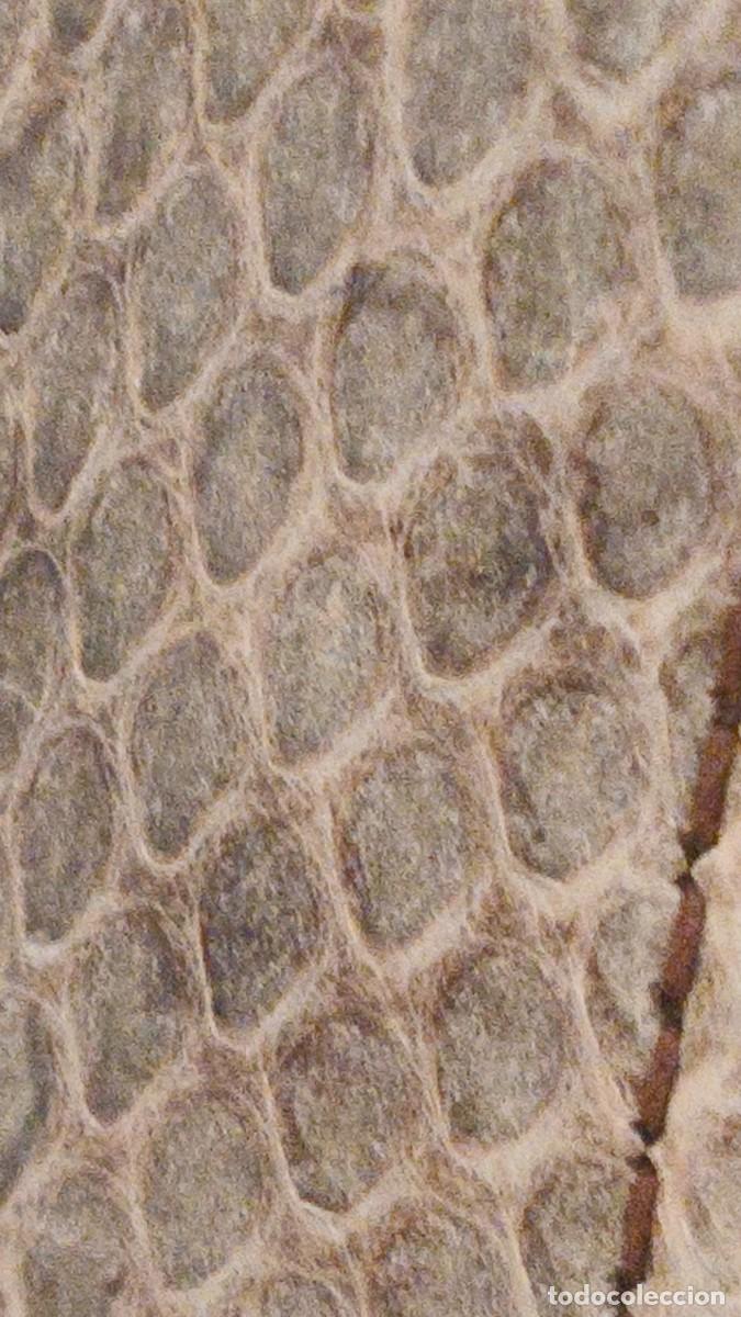 Vintage: Sac a main python v&eacute;ritable Mario Valentino ann&eacute;e 80 - Foto 5