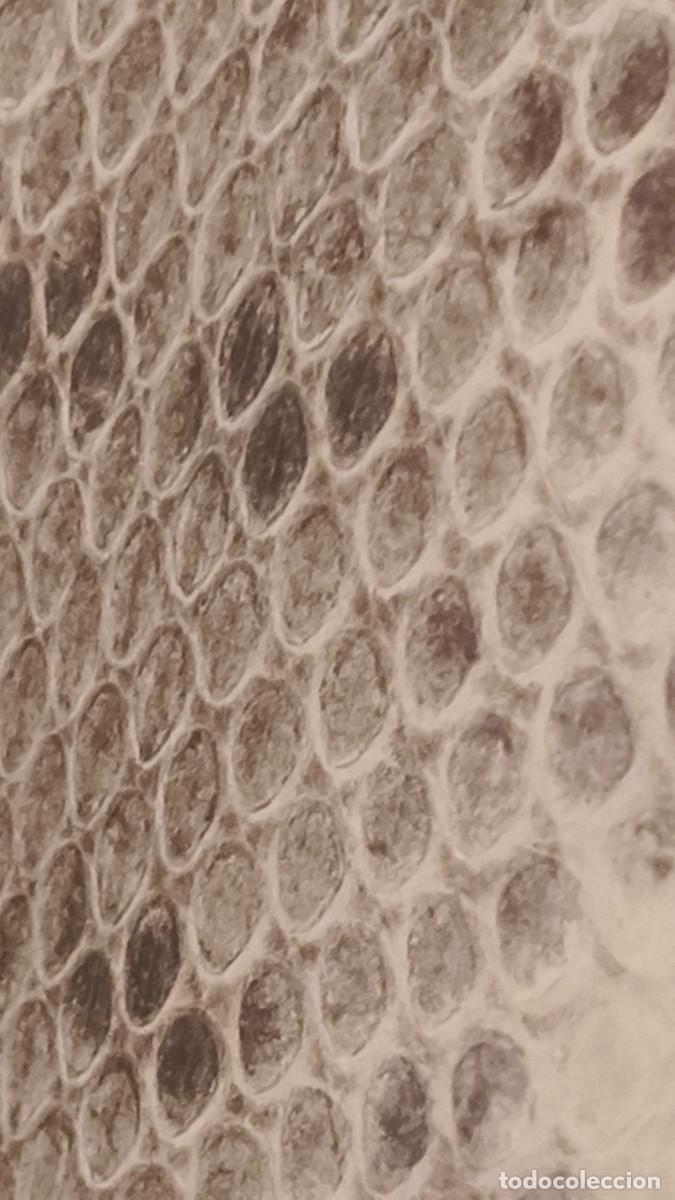 Vintage: Sac a main python v&eacute;ritable Mario Valentino ann&eacute;e 80 - Foto 6