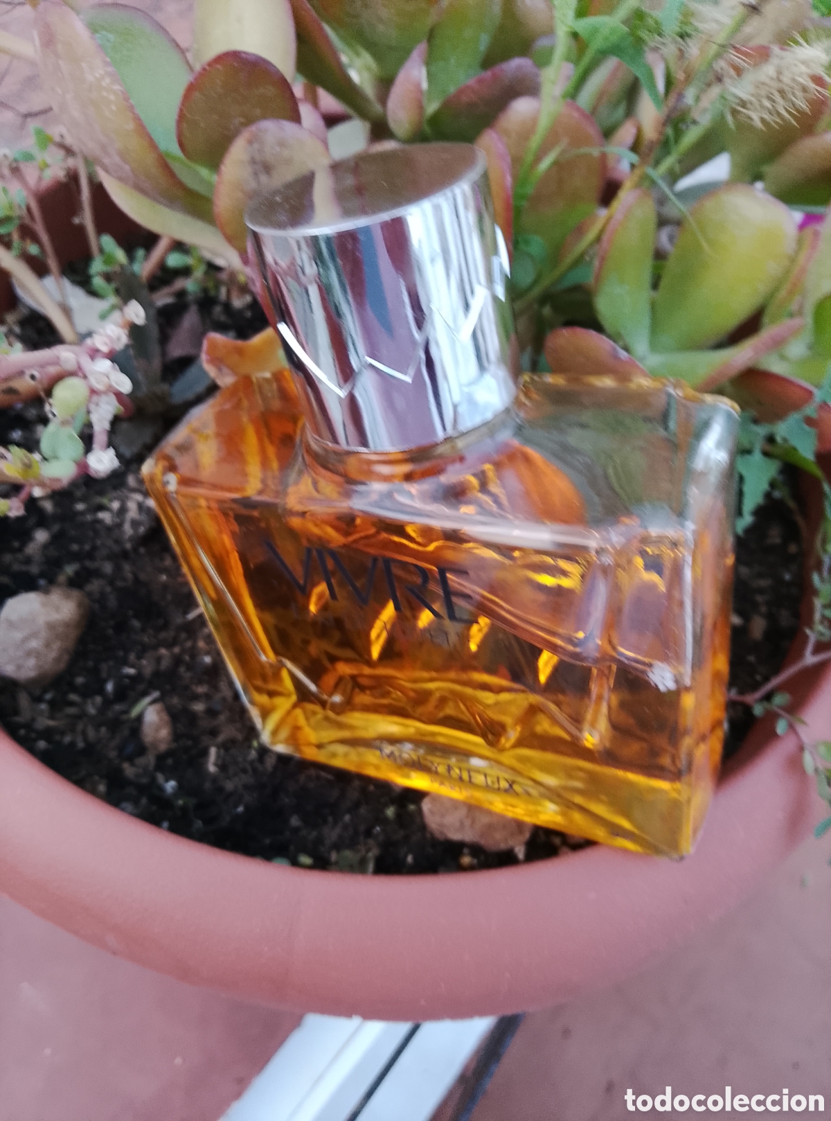 Vintage: Perfume Vintage Vivre Molyneux Paris - 120 ml Eau de Toilette