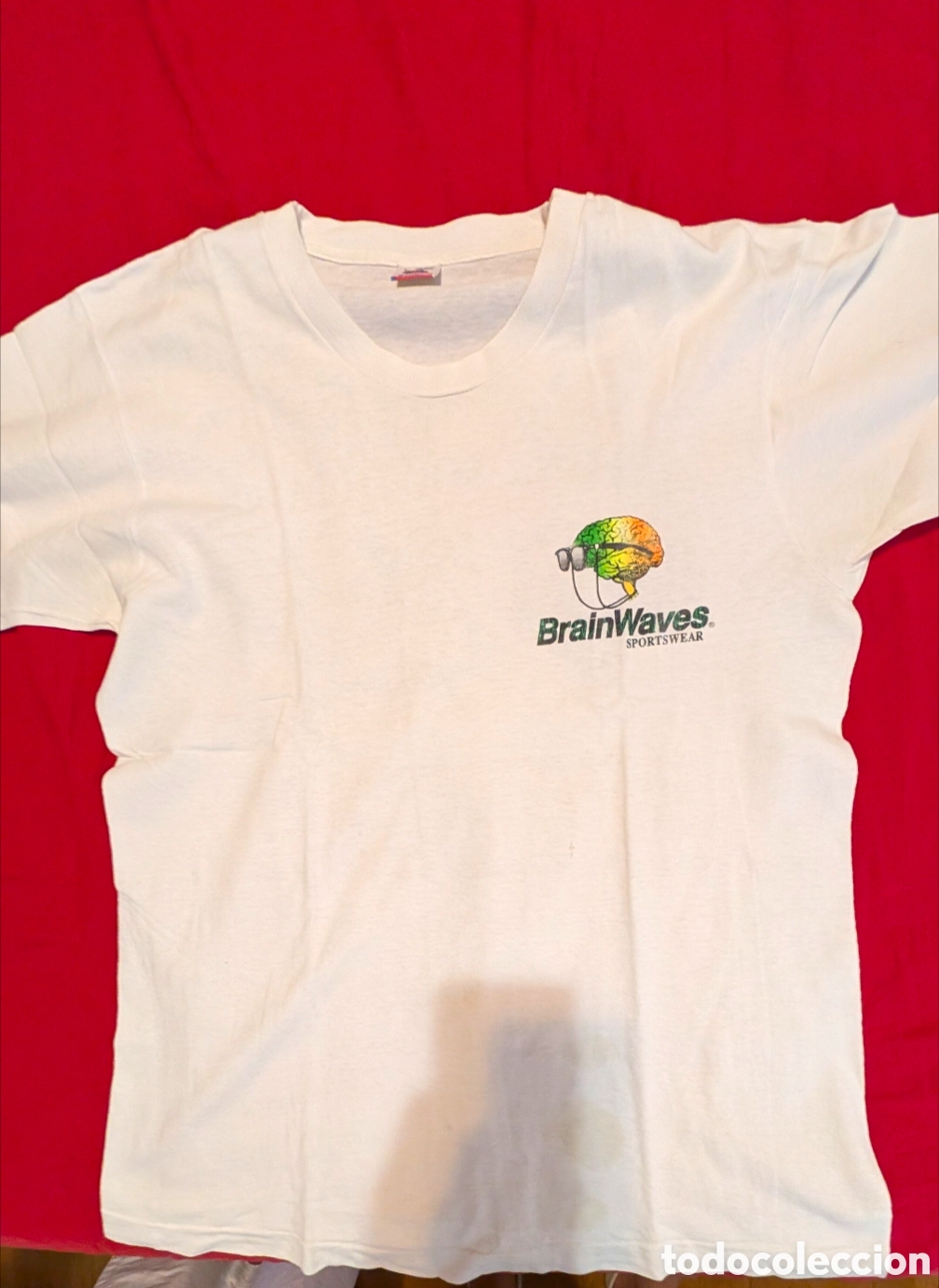 Vintage: Camiseta Vintage 80s 90s Parodia Antidroga &rdquo;This Is Your Brain On South Padre Island&rdquo; - Fruit Of The