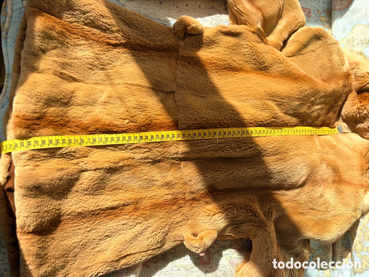 Vintage: Chaqueta vis&oacute;n rasado - Foto 8