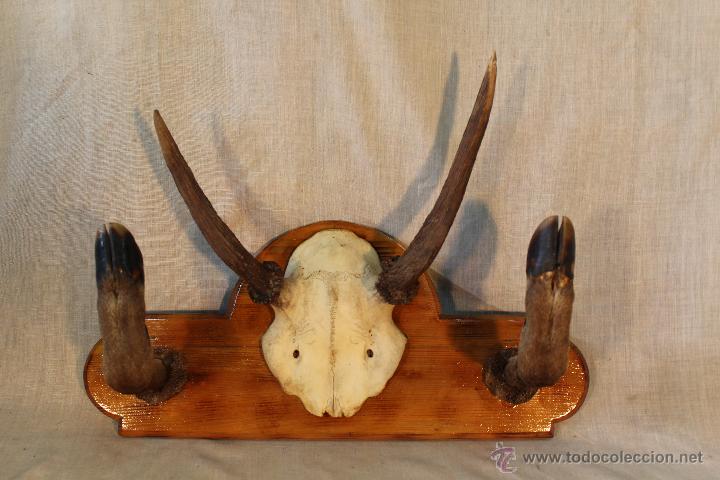 Vintage: PERCHERO DE PARED - Foto 2