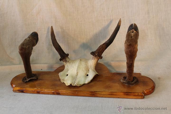Vintage: PERCHERO DE PARED - Foto 4