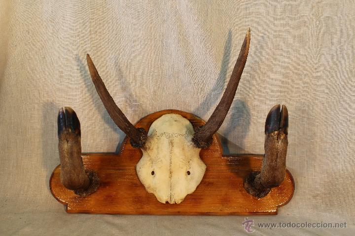 Vintage: PERCHERO DE PARED - Foto 5