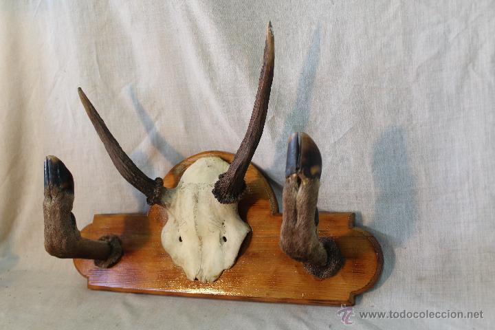 Vintage: PERCHERO DE PARED - Foto 6