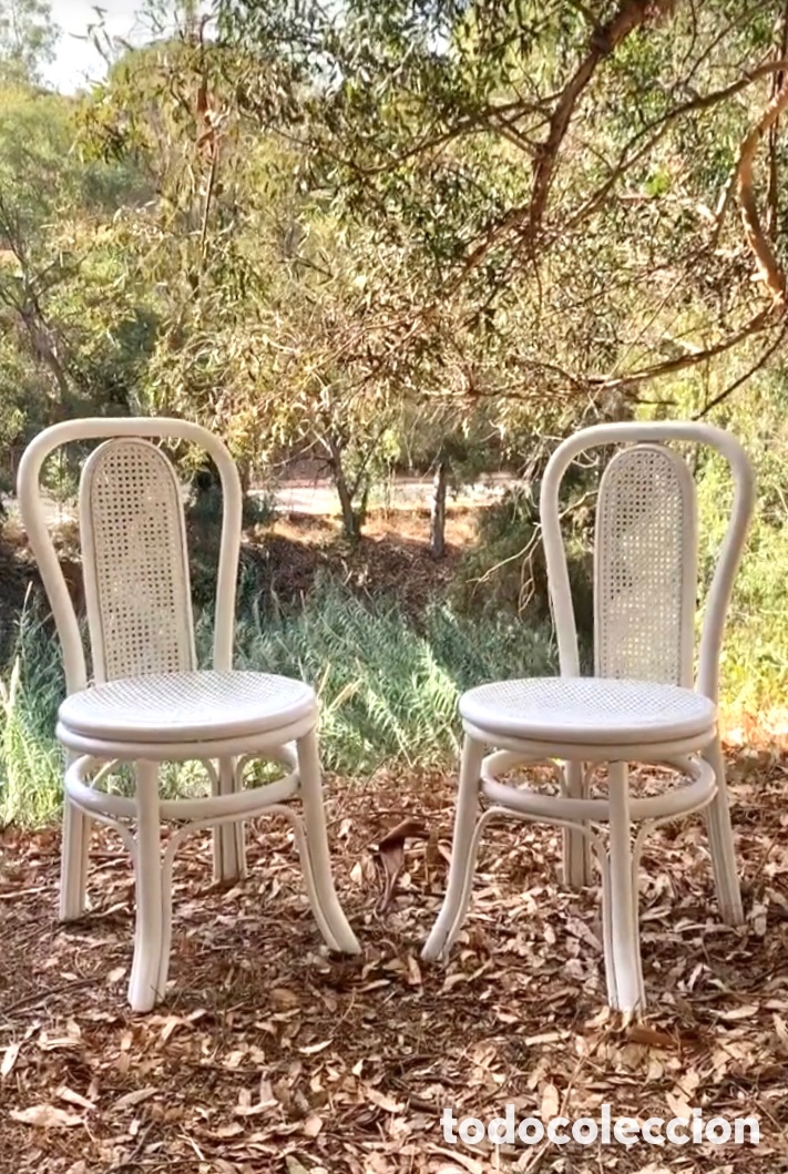 Vintage: SILLA BAMB&Uacute; Y RAT&Aacute;N - Foto 12