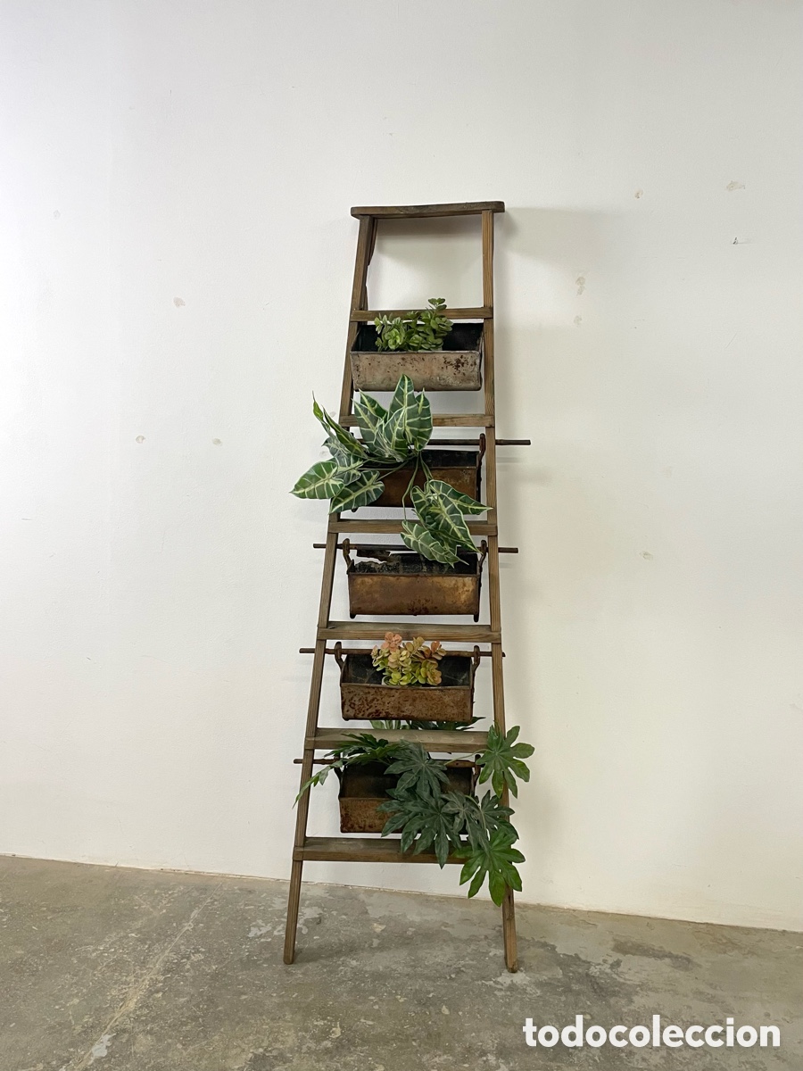 Vintage: Escalera de madera antigua para uso de macetero