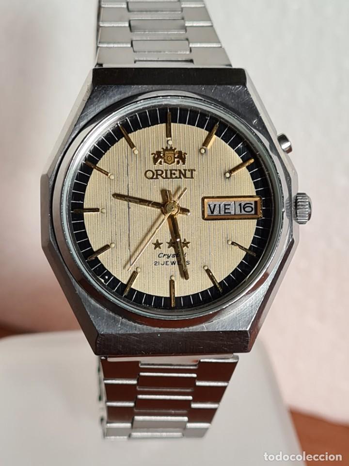 Relojero, caja de 5 relojes con tapa de cristal en color marrón o negro -  comprar online