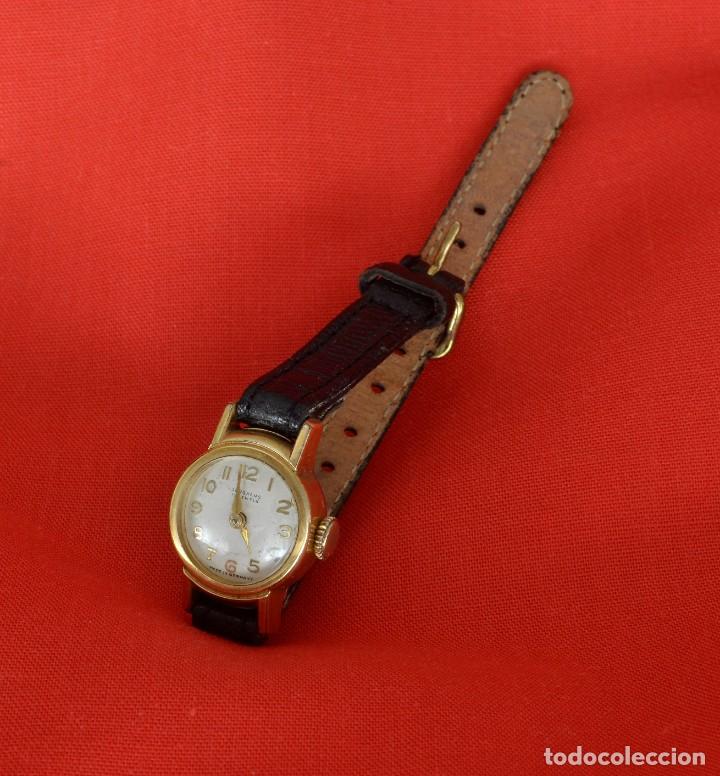 lote 8 antiguas correas de reloj piel y tela - Compra venta en todocoleccion