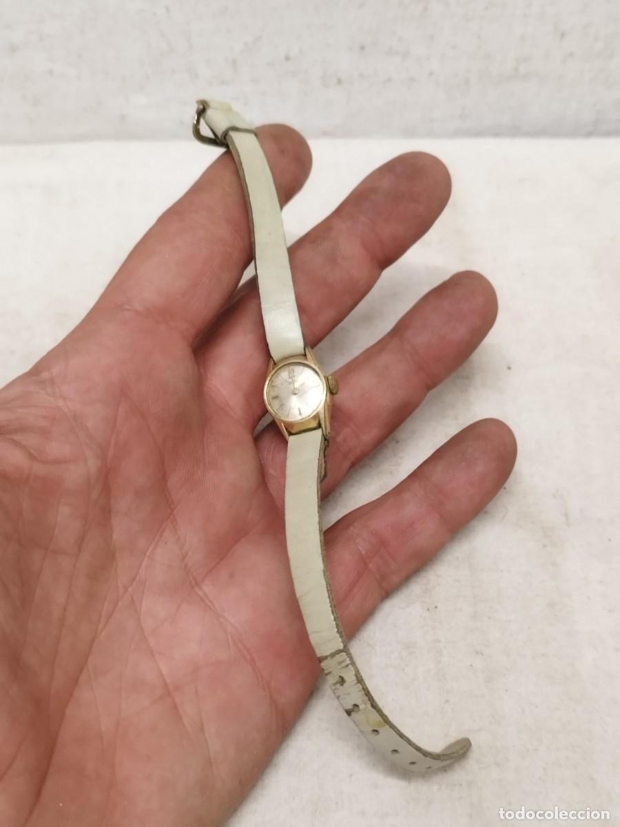 Vintage: Reloj de pulsera Zentra modelo Kreisel. A&ntilde;os 40-50. Sin probar.