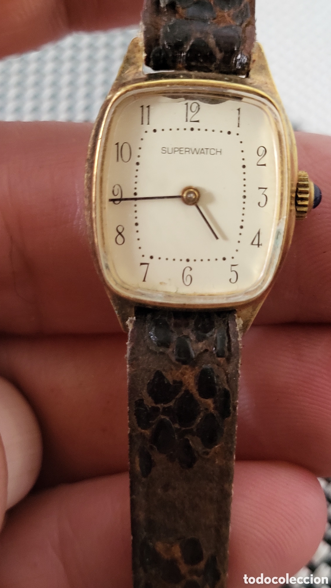 Vintage: Reloj pulsera quartz Se&ntilde;ora Superwatch