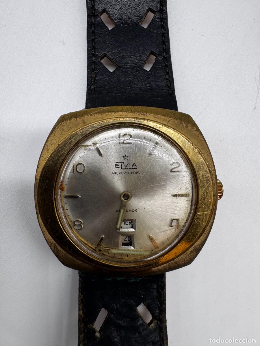Vintage Watches: RELOJ ELVIA ANCRE 15 RUBIS ANTICHOC VINTAGE MEC&Aacute;NICO CALENDARIO DOBLE VENTANA