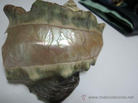 Vintage: Caracola TALLADA - n&aacute;car Medida 15 x 8 cm.