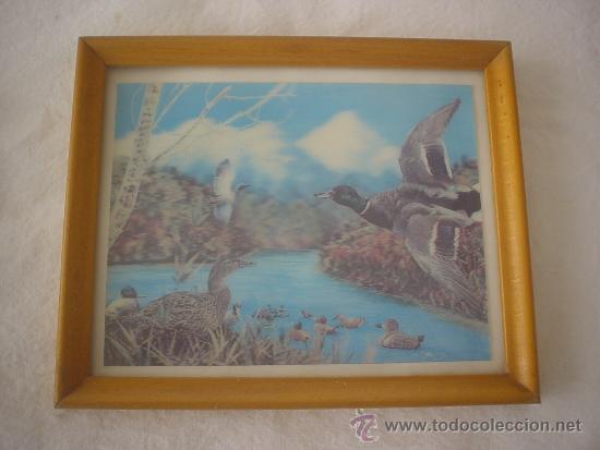 CUADRO 3D PATOS  A&Ntilde;OS 60/70