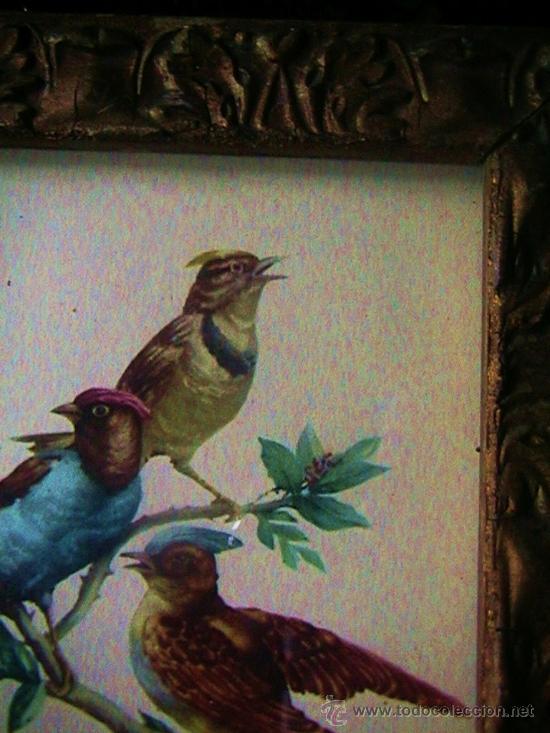 Vintage: marco modernista cuadro con p&aacute;jaros - Foto 3