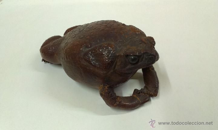 Vintage: SAPO REALIZADO EN CUERO ( MUY LOGRADO ) IDEAL DECORACION