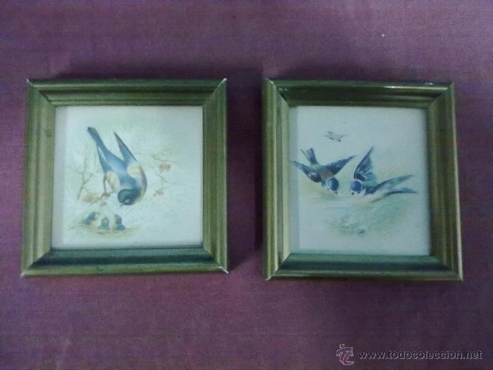 Vintage: DOS PEQUE&Ntilde;AS LAMINAS DE AVES
