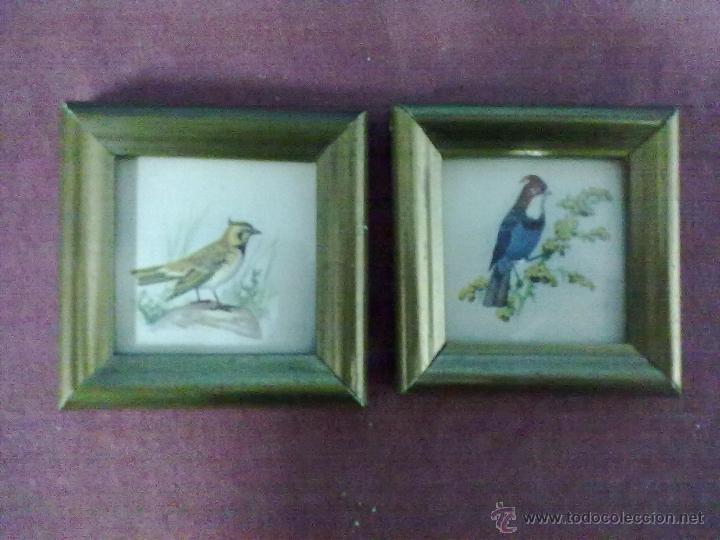 Vintage: DOS PEQUE&Ntilde;AS LAMINAS DE AVES