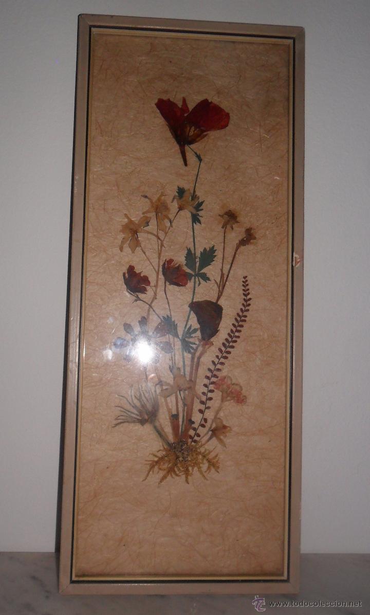 Vintage: Cuadro de flores secas - Foto 2