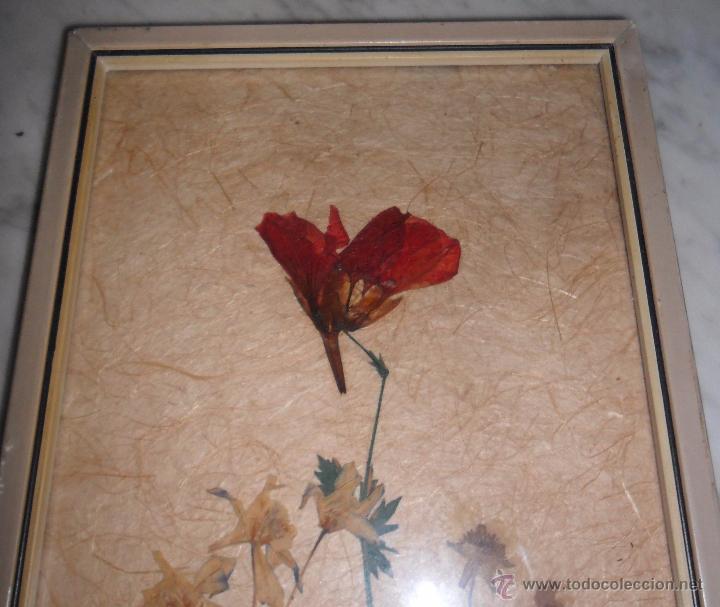 Vintage: Cuadro de flores secas - Foto 3