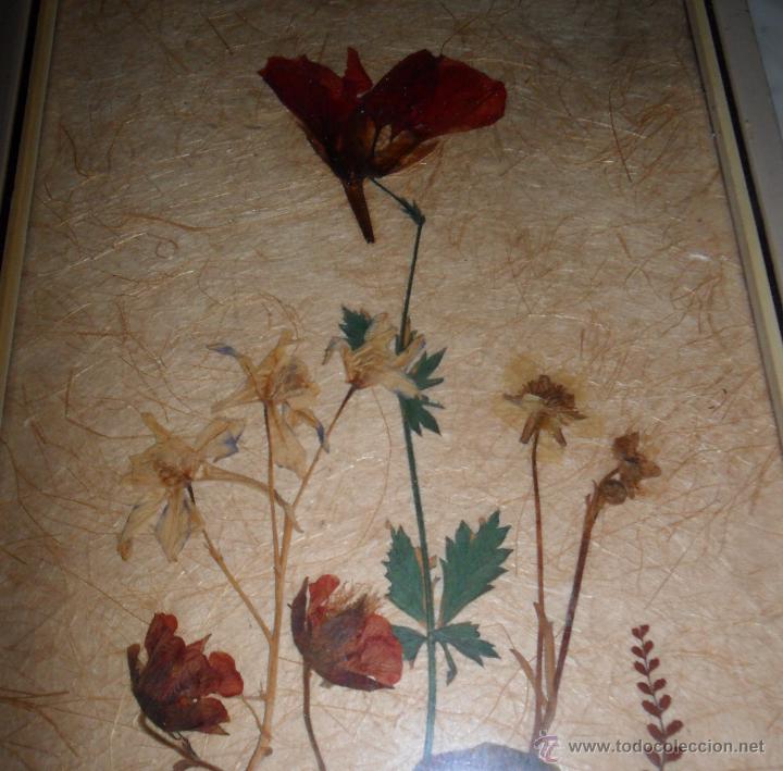 Vintage: Cuadro de flores secas - Foto 4
