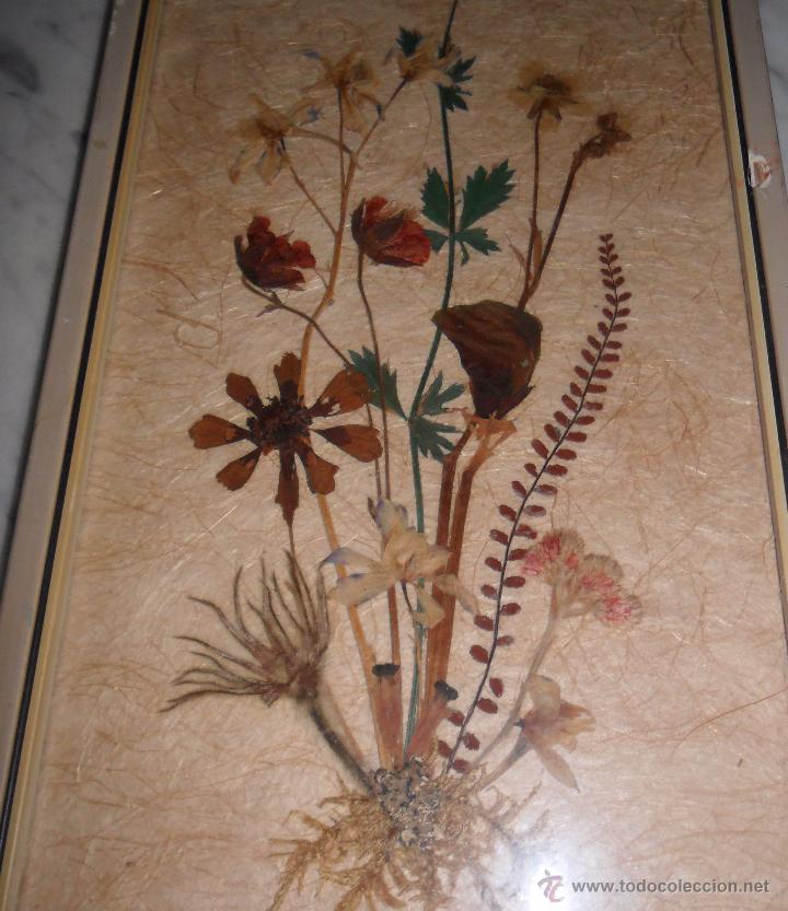 Vintage: Cuadro de flores secas - Foto 5