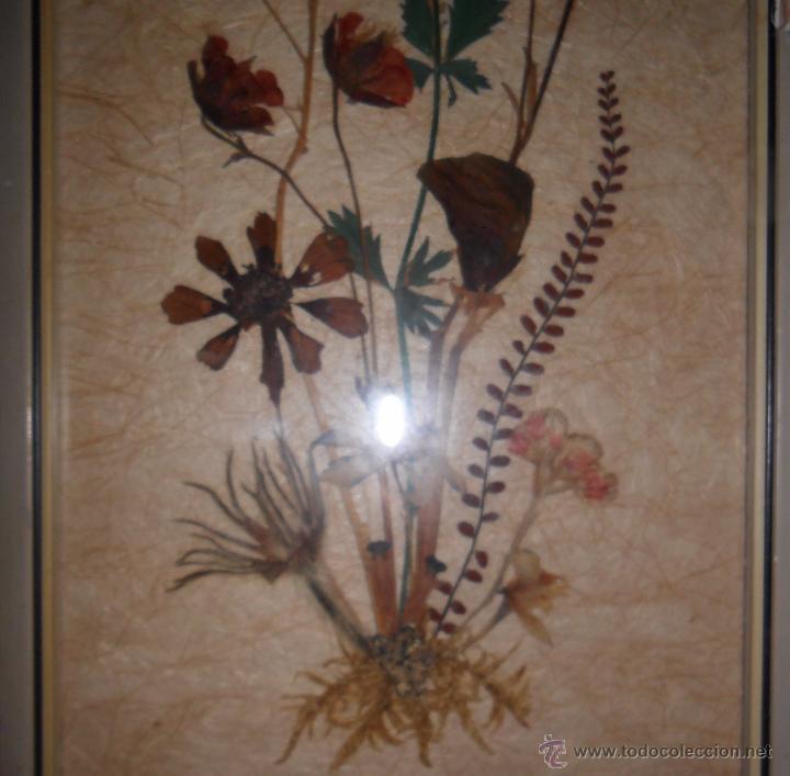 Vintage: Cuadro de flores secas - Foto 6