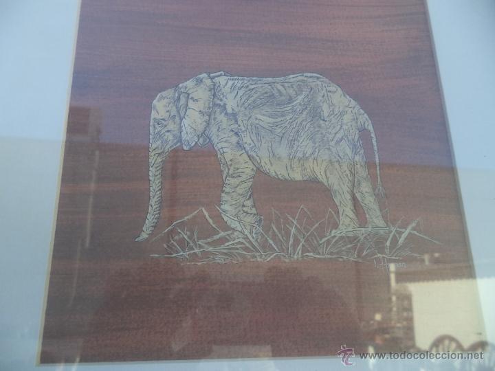 Vintage: cuadro elefante - Foto 2